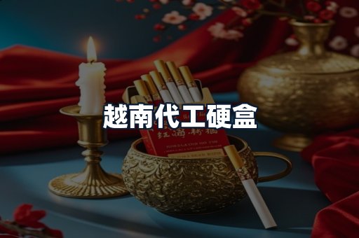 越南代工硬盒